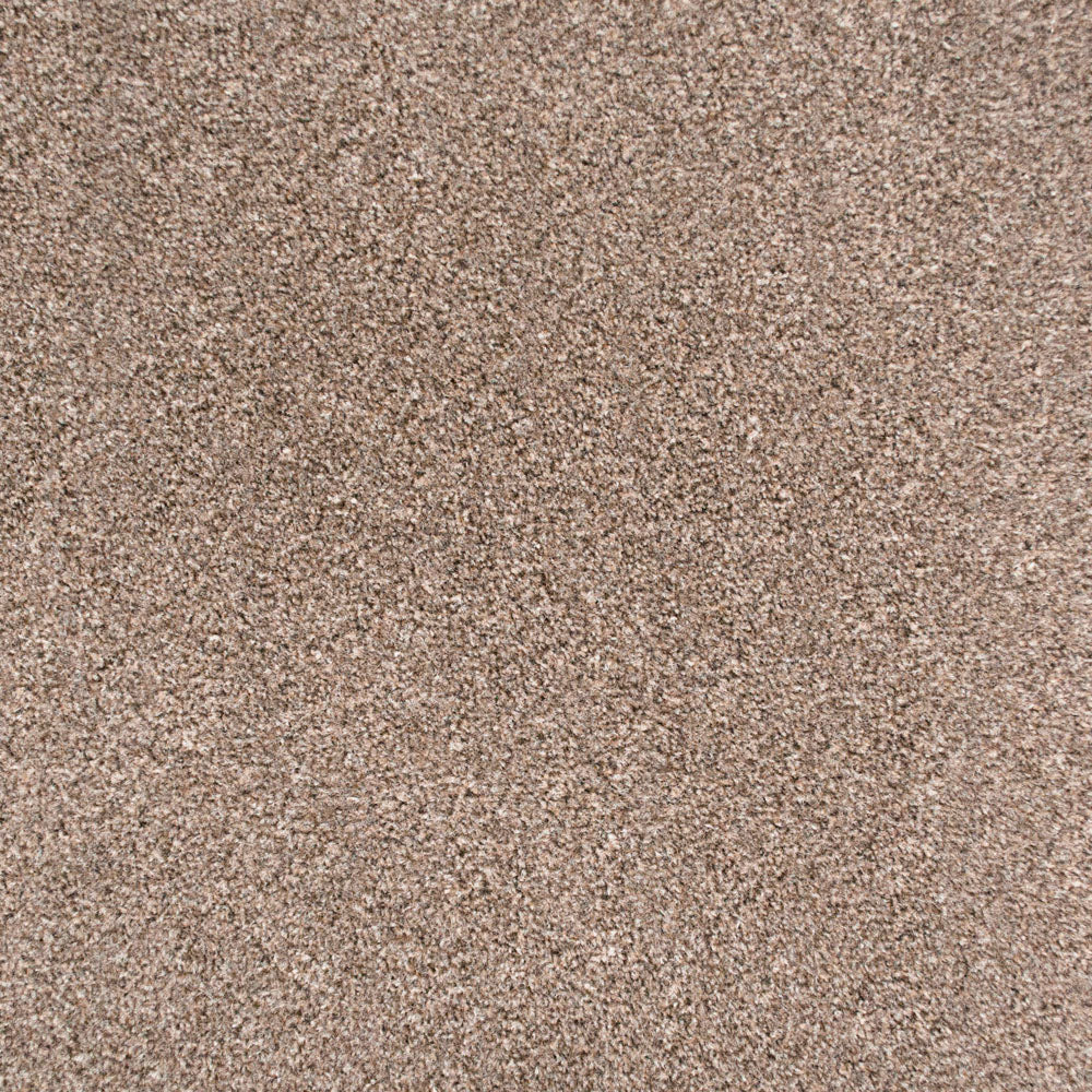 Mink 314 Easy Living Carpet - Image 5