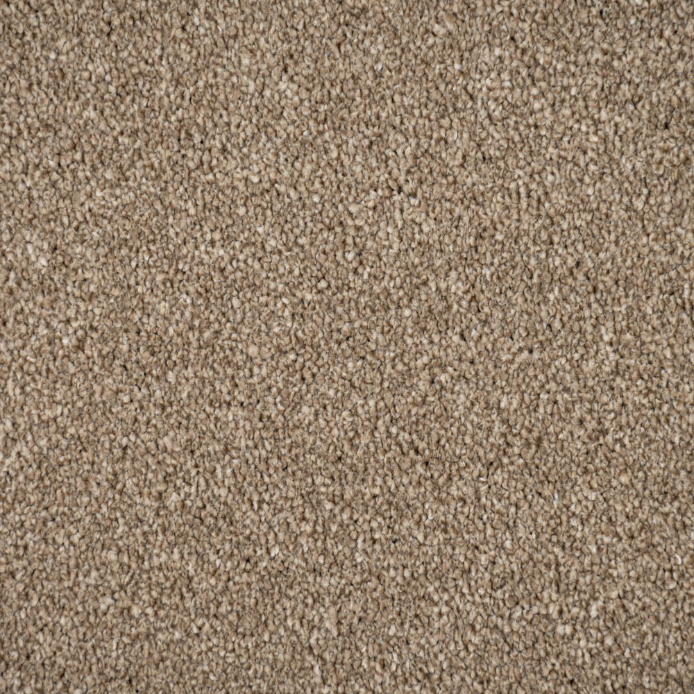 Mink Brown Moxie Saxony Carpet - Image 3