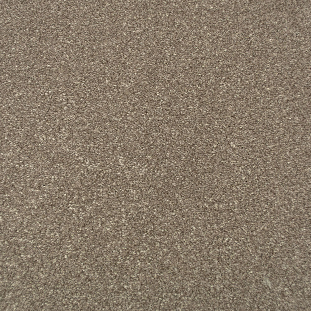 Mink Stainfree Majesty Carpet - Image 2