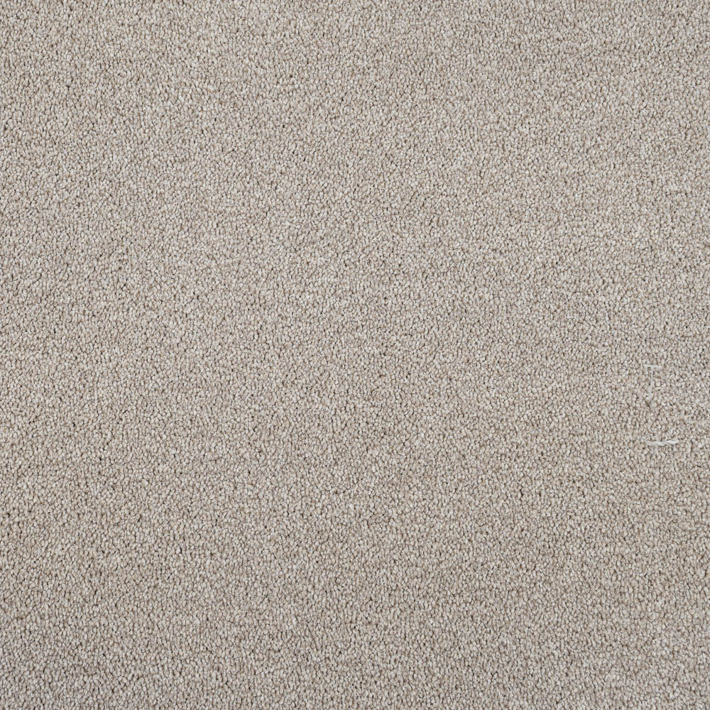 Mistflower 32 Cassius 70oz Invictus Carpet - Image 2