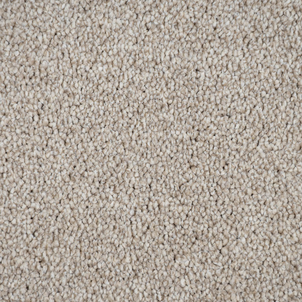 Mistflower 32 Cassius 70oz Invictus Carpet - Image 3