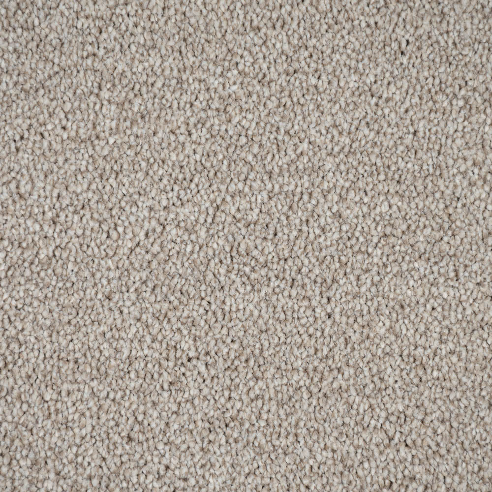 Mistflower 32 Darius 50oz Invictus Carpet - Image 3