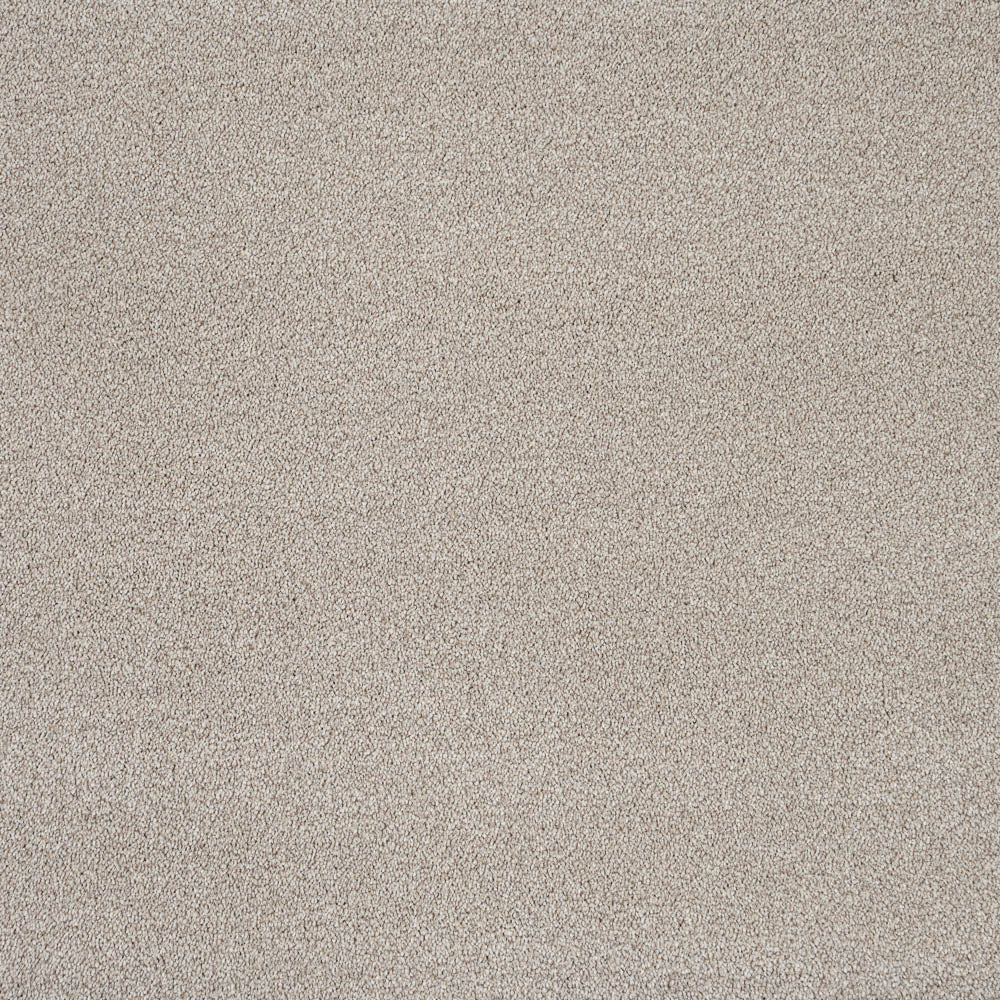 Mistflower 32 Darius 50oz Invictus Carpet - Image 5