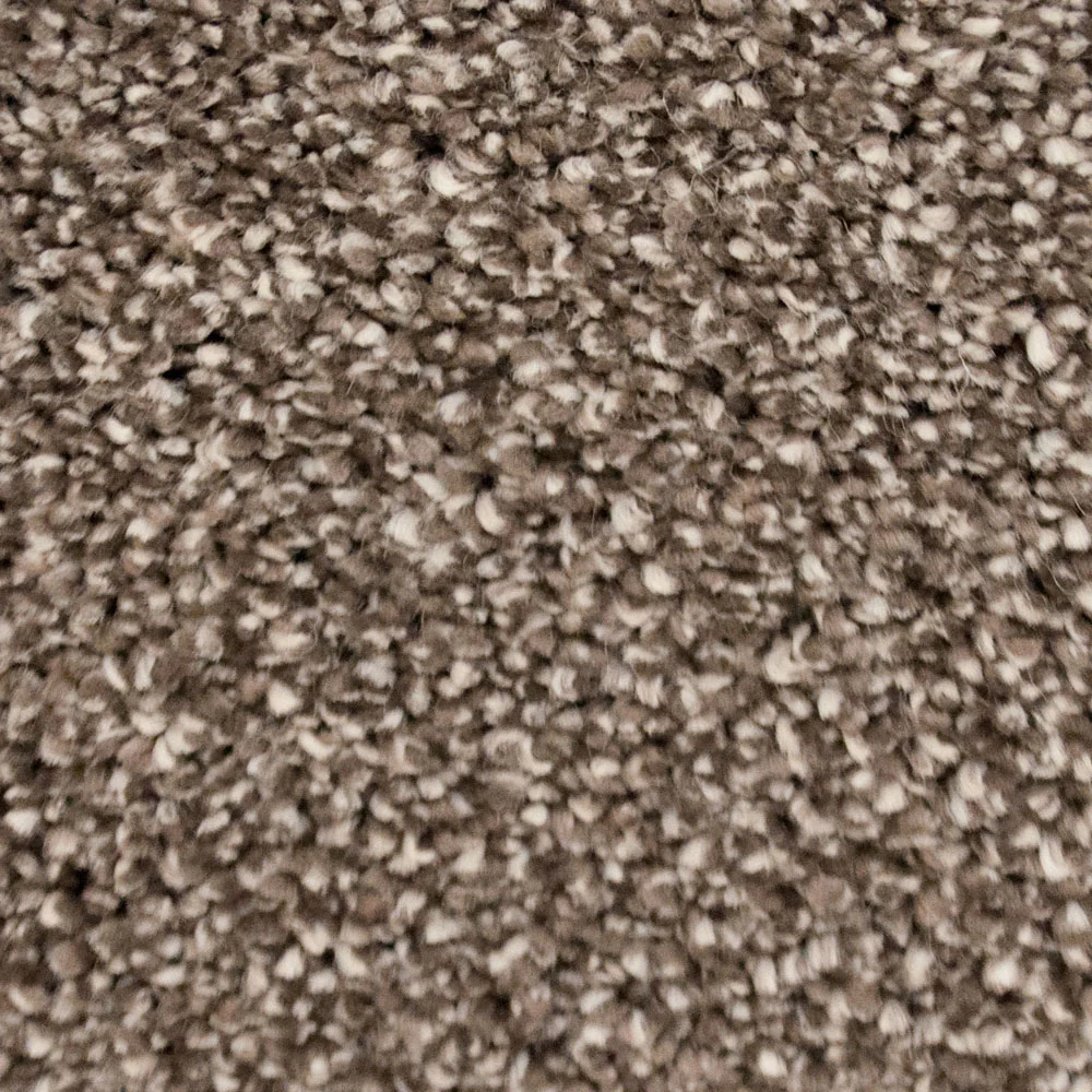 Mizona 45 Pegasus 70oz Heathers Invictus Carpet - Image 3