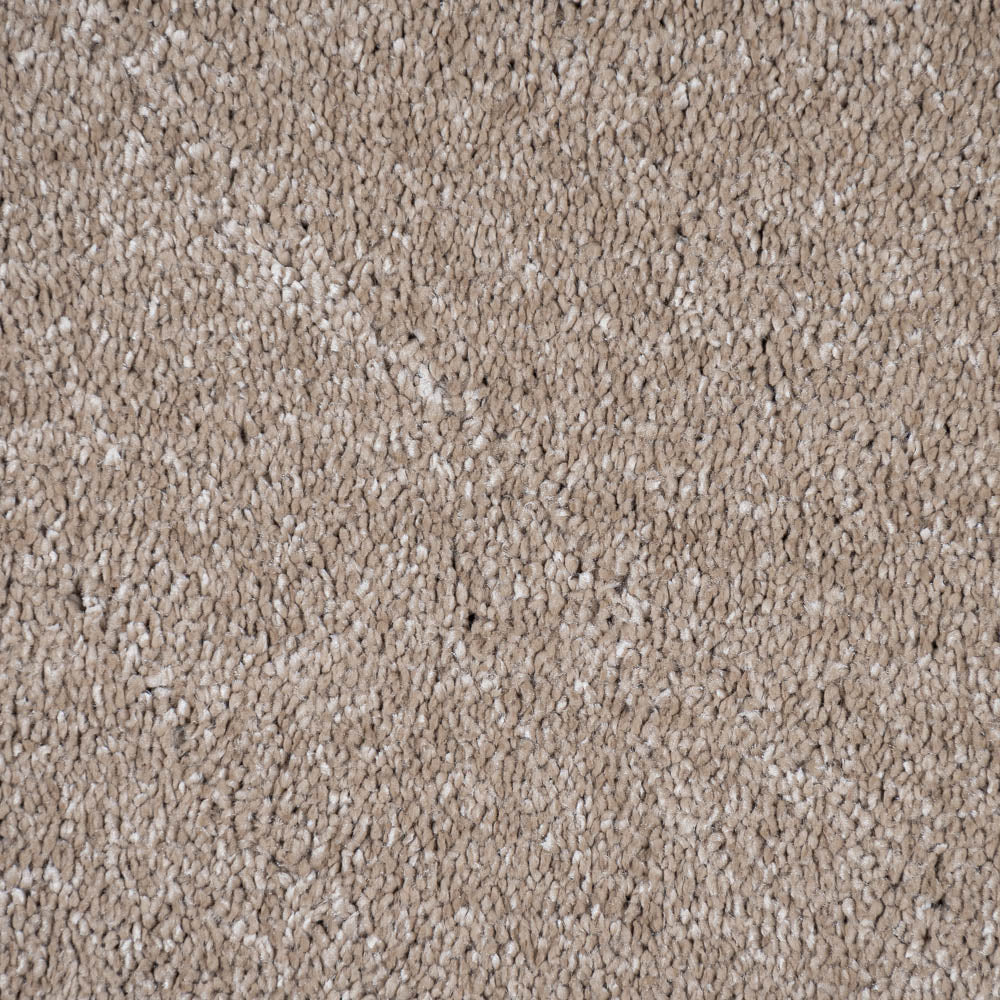 Mocha Brown Alhambra Saxony Carpet - Image 3