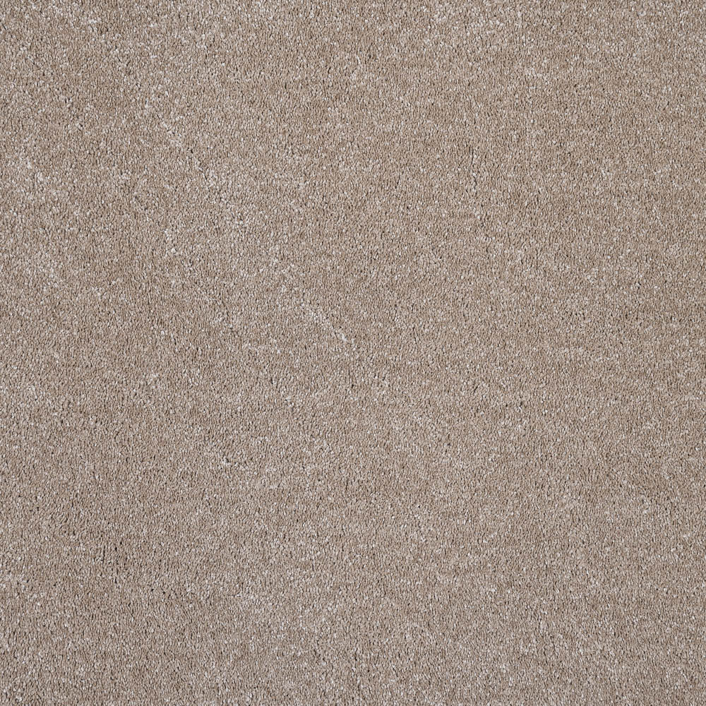 Mocha Brown Alhambra Saxony Carpet - Image 5