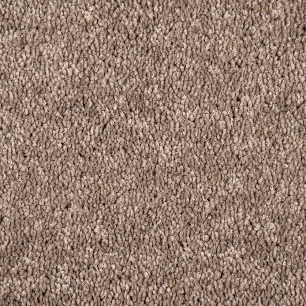 Mocha Maverick Saxony Carpet - Image 3