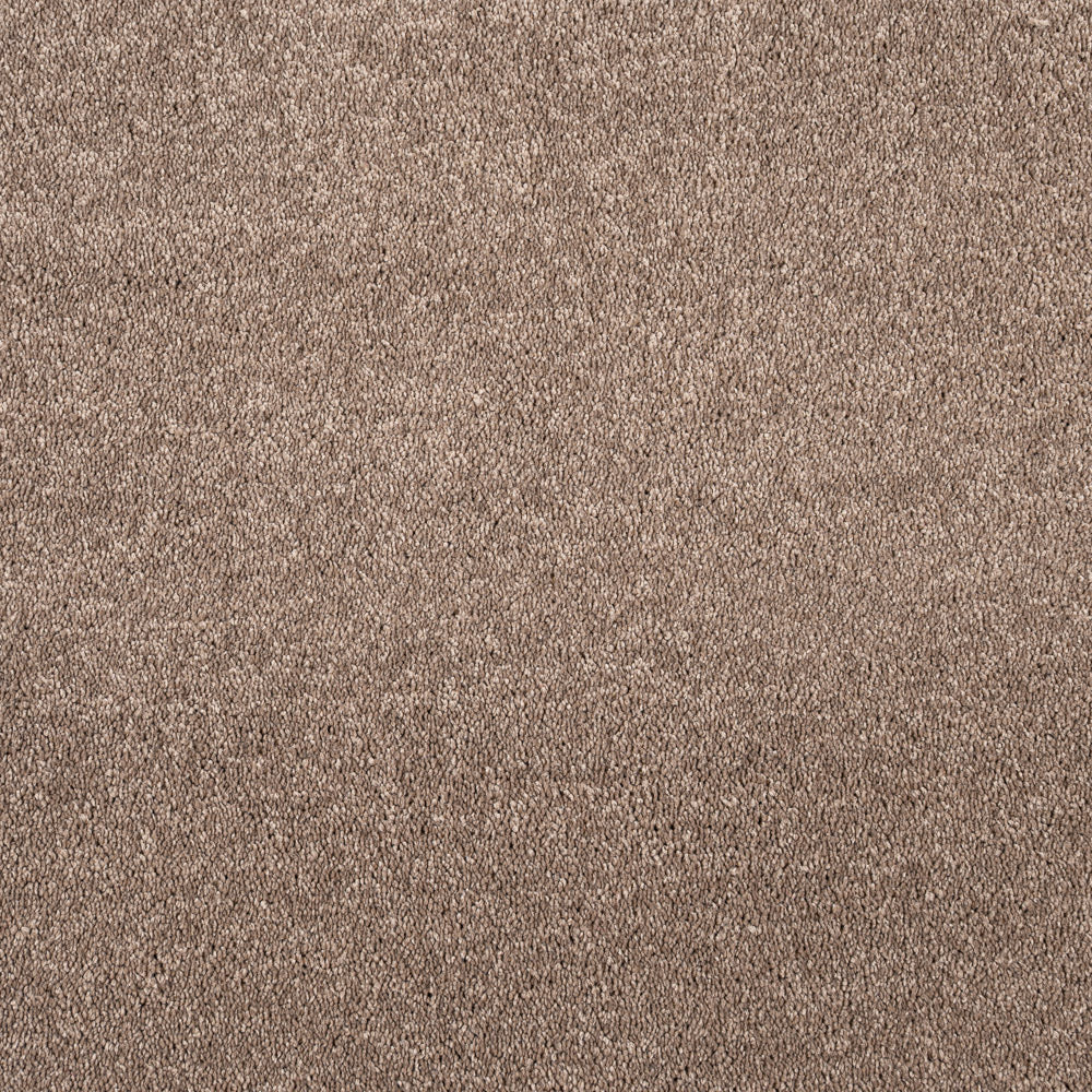 Mocha Maverick Saxony Carpet - Image 5
