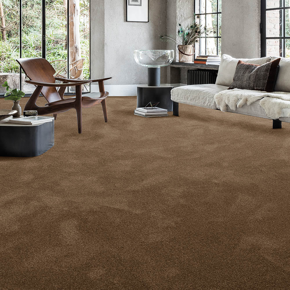 Moleskin 40 Aries Invictus Carpet