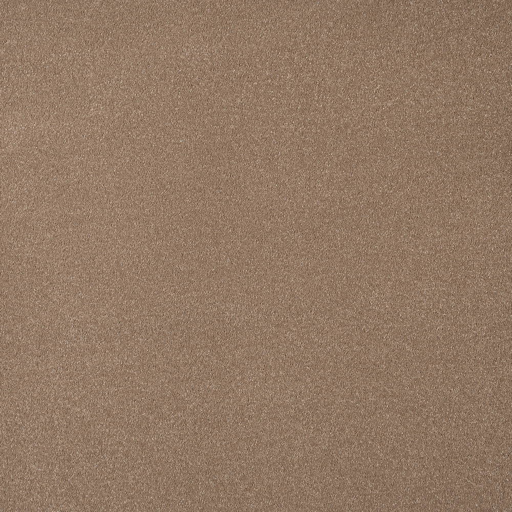 Moleskin 40 Taurus Invictus Carpet - Image 6