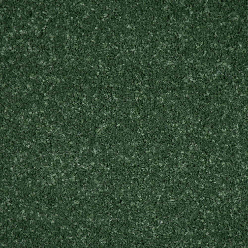 Moss Stainfree Ultra Carpet by Abingdon - Image 3
