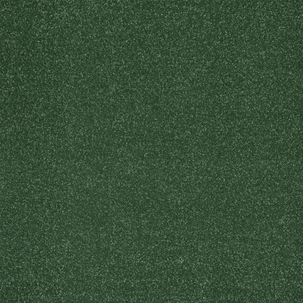 Moss Stainfree Ultra Carpet by Abingdon - Image 5