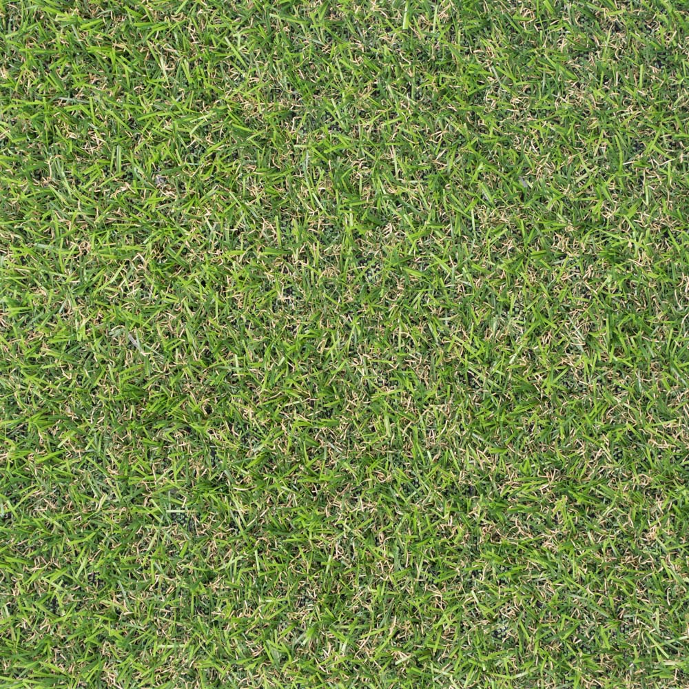 Mossbank 17mm Artificial Grass - Image 3
