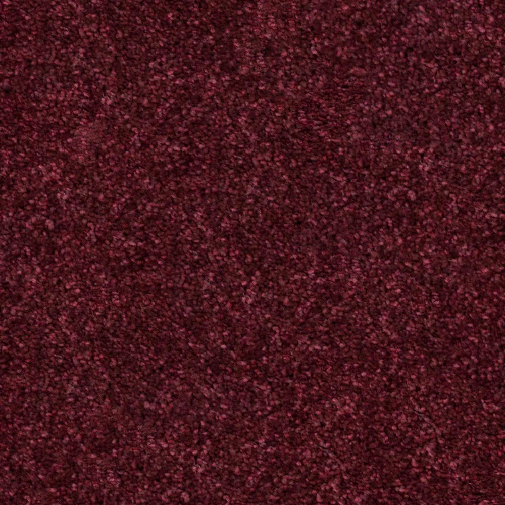 Mulberry 11 Temptation Carpet - Image 3