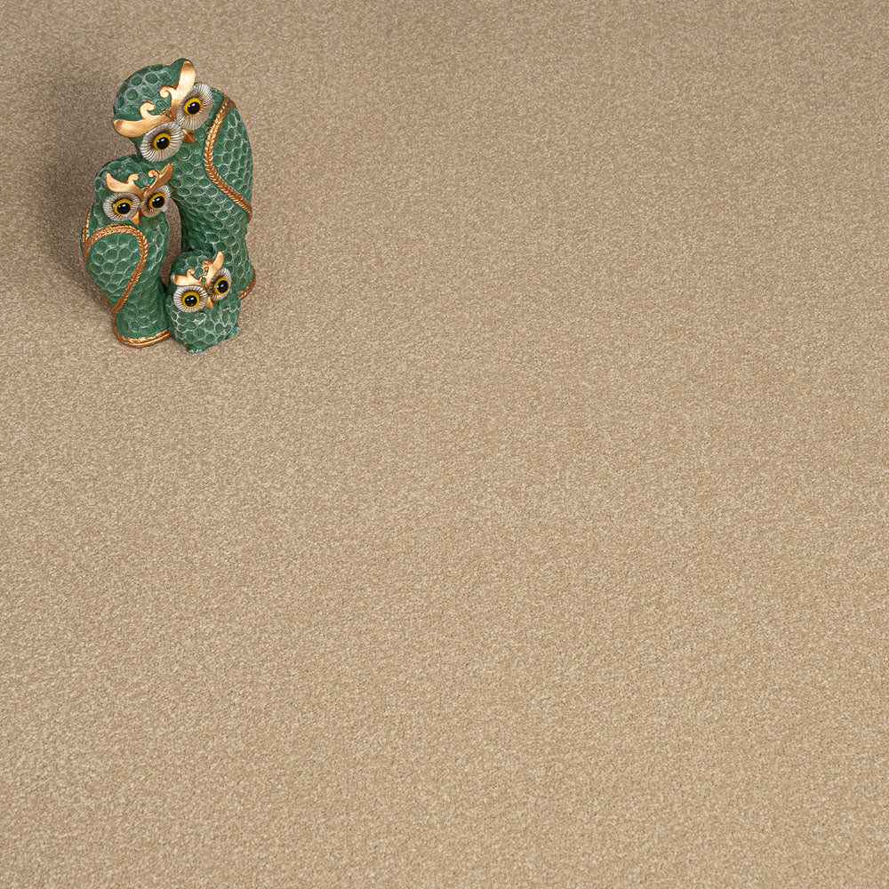 Muscovado Primo Plus Carpet by Cormar
