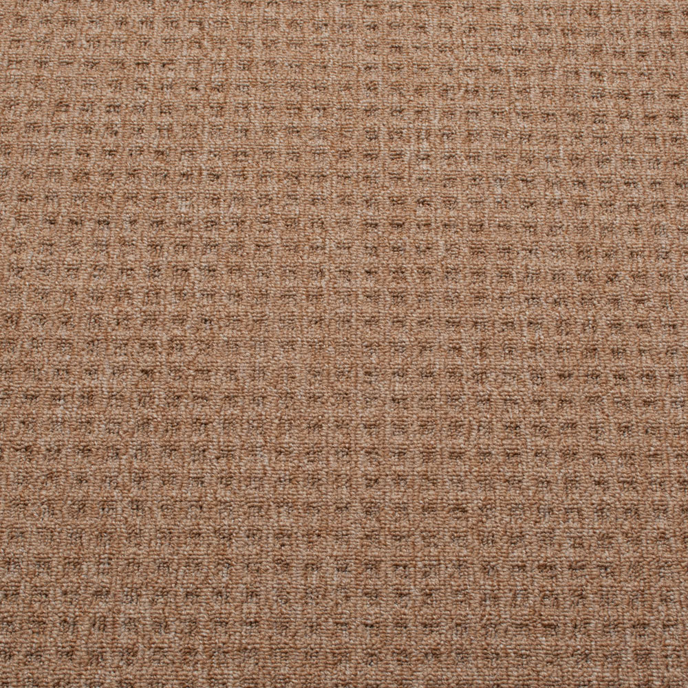 Neptune Carpet - Image 4