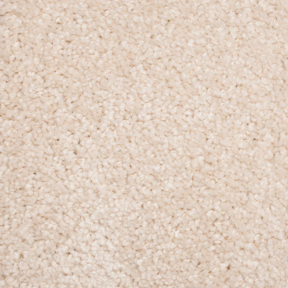New Direction Supreme Carpet - Image 2