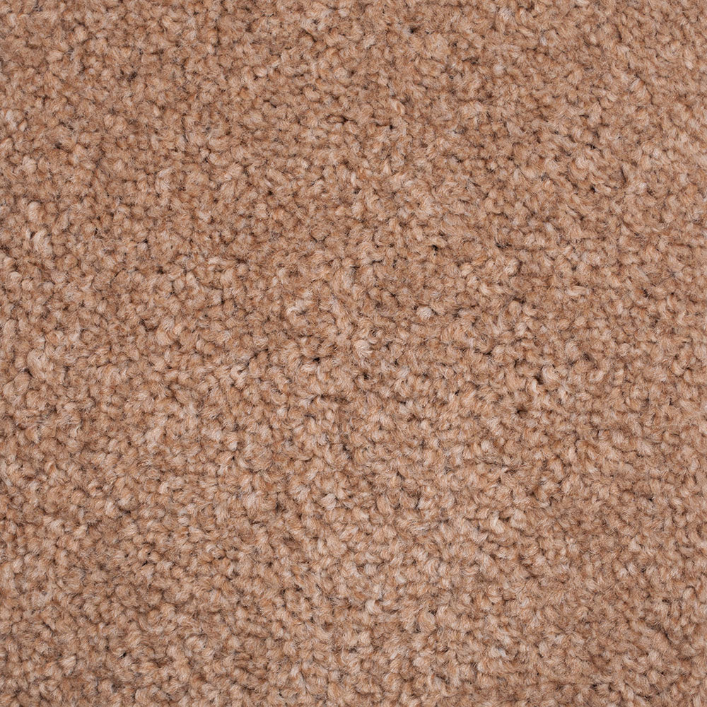 New Direction Supreme Carpet - Image 5