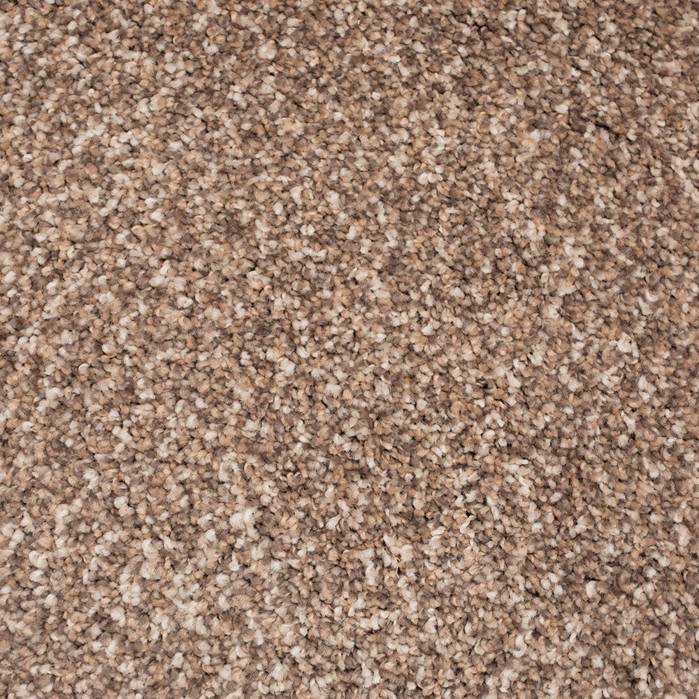 New Mood Carpet - Image 2