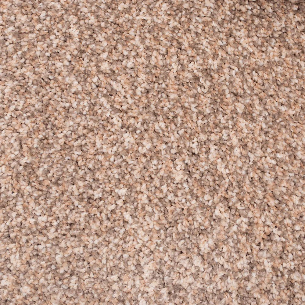 New Mood Carpet - Image 3
