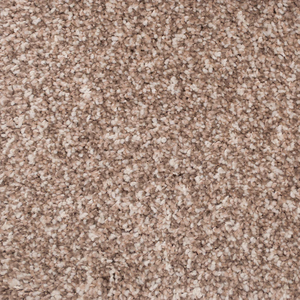 New Mood Carpet - Image 5