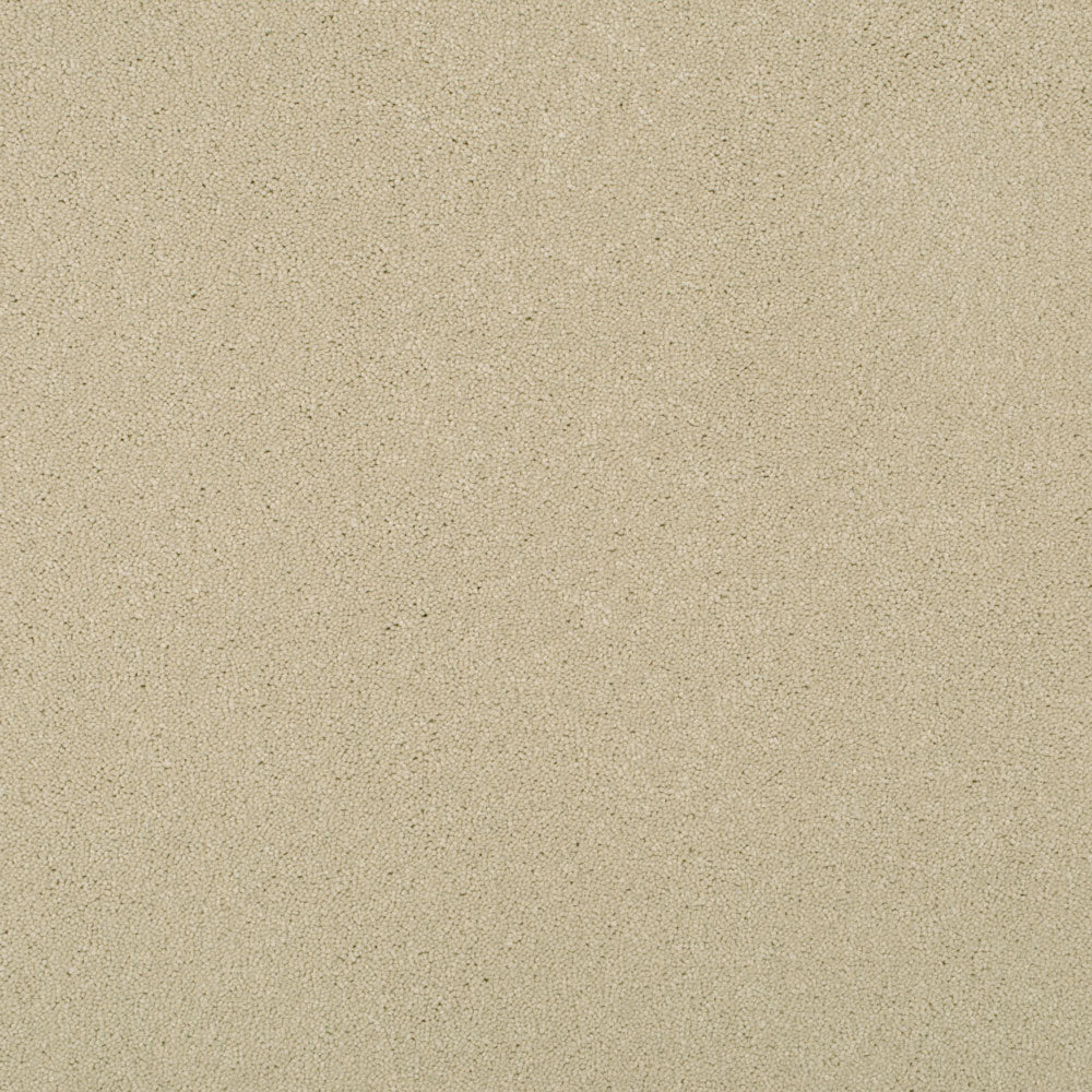 Nougat 70 Ultimate Twist Intenza Carpet