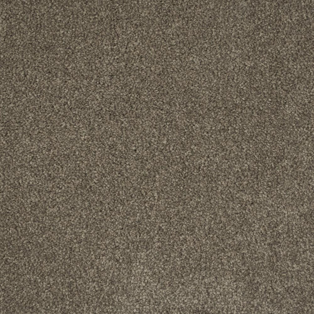 Ocean Actionback Carpets - Image 4