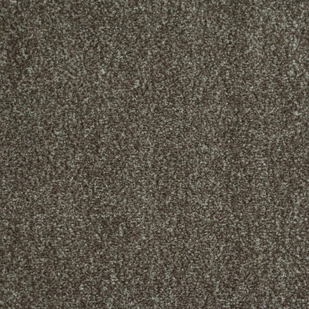 Ocean Actionback Carpets - Image 9