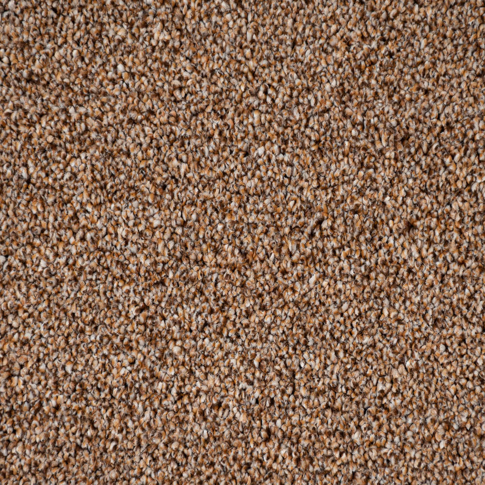 Okra 38 Cassius 70oz Invictus Carpet - Image 4