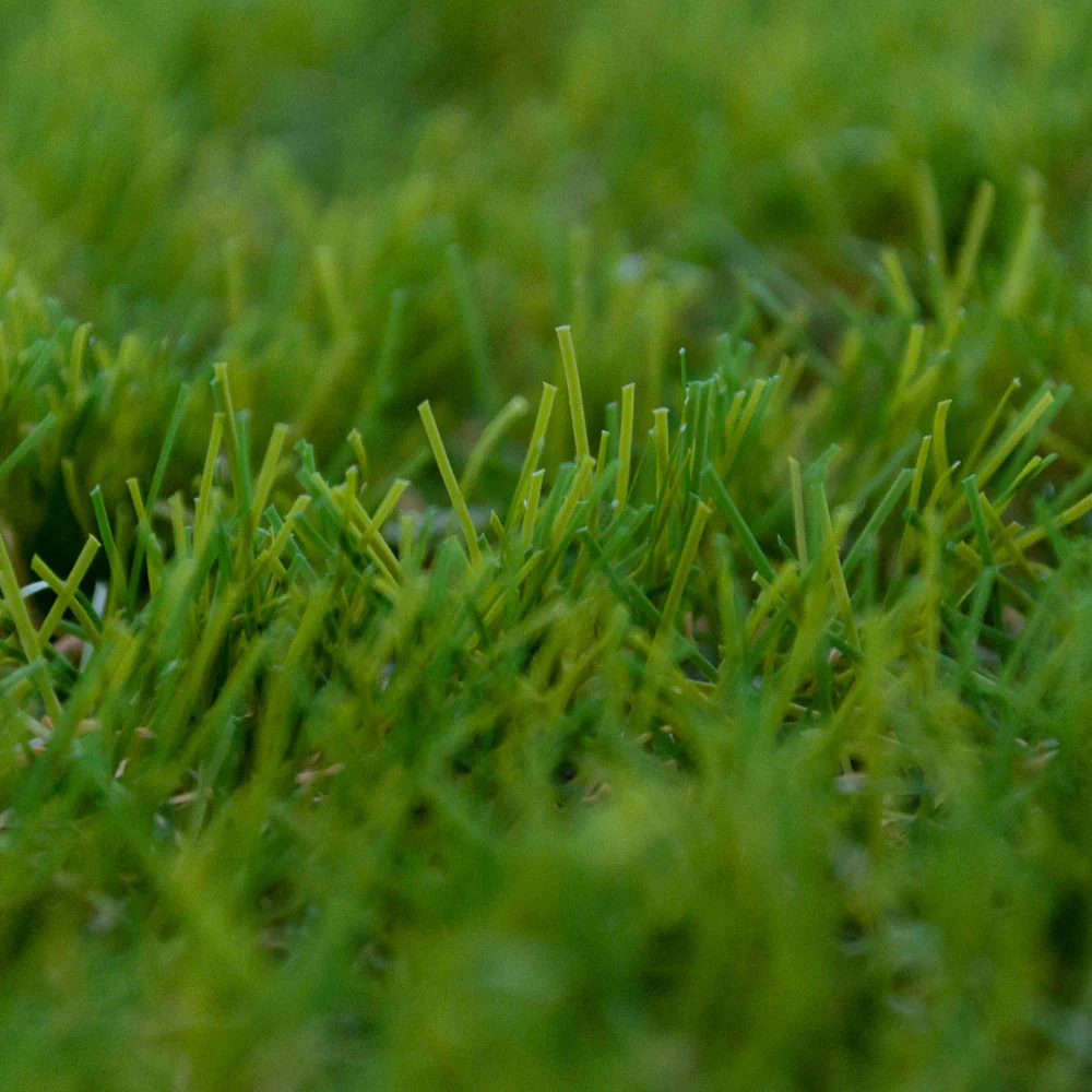 Olympic 27 Artificial Grass - Image 6