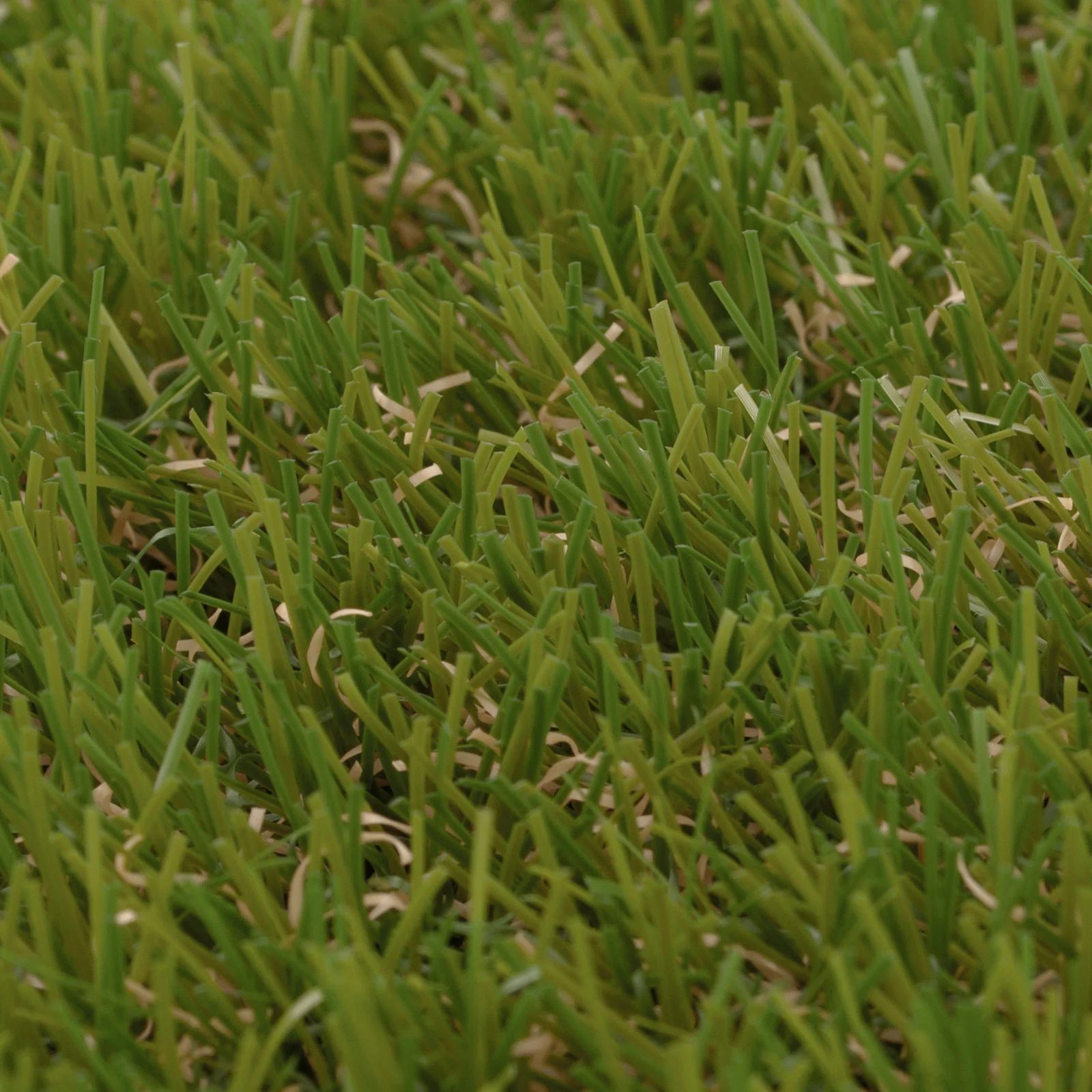 Perth Artificial Grass - Image 10