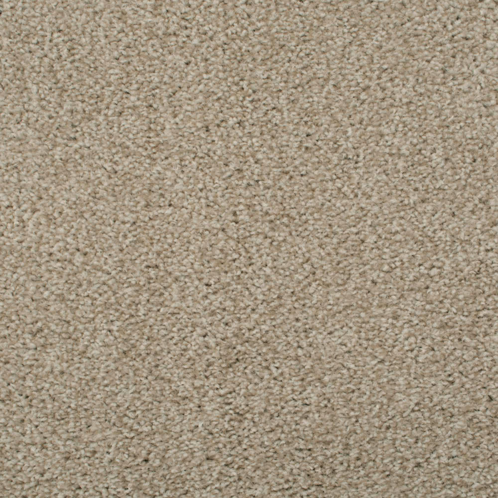Oregon Saxony Carpet - Image 2