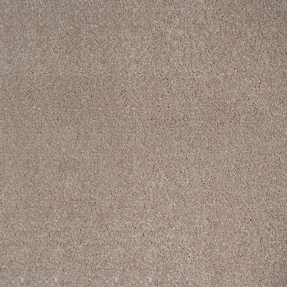 Orion 50oz Invictus Carpet - Image 3