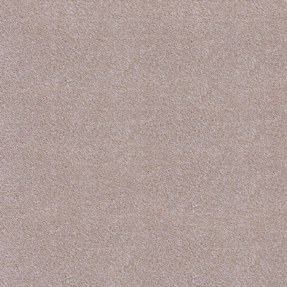 Oyster Noble Saxony Carpet