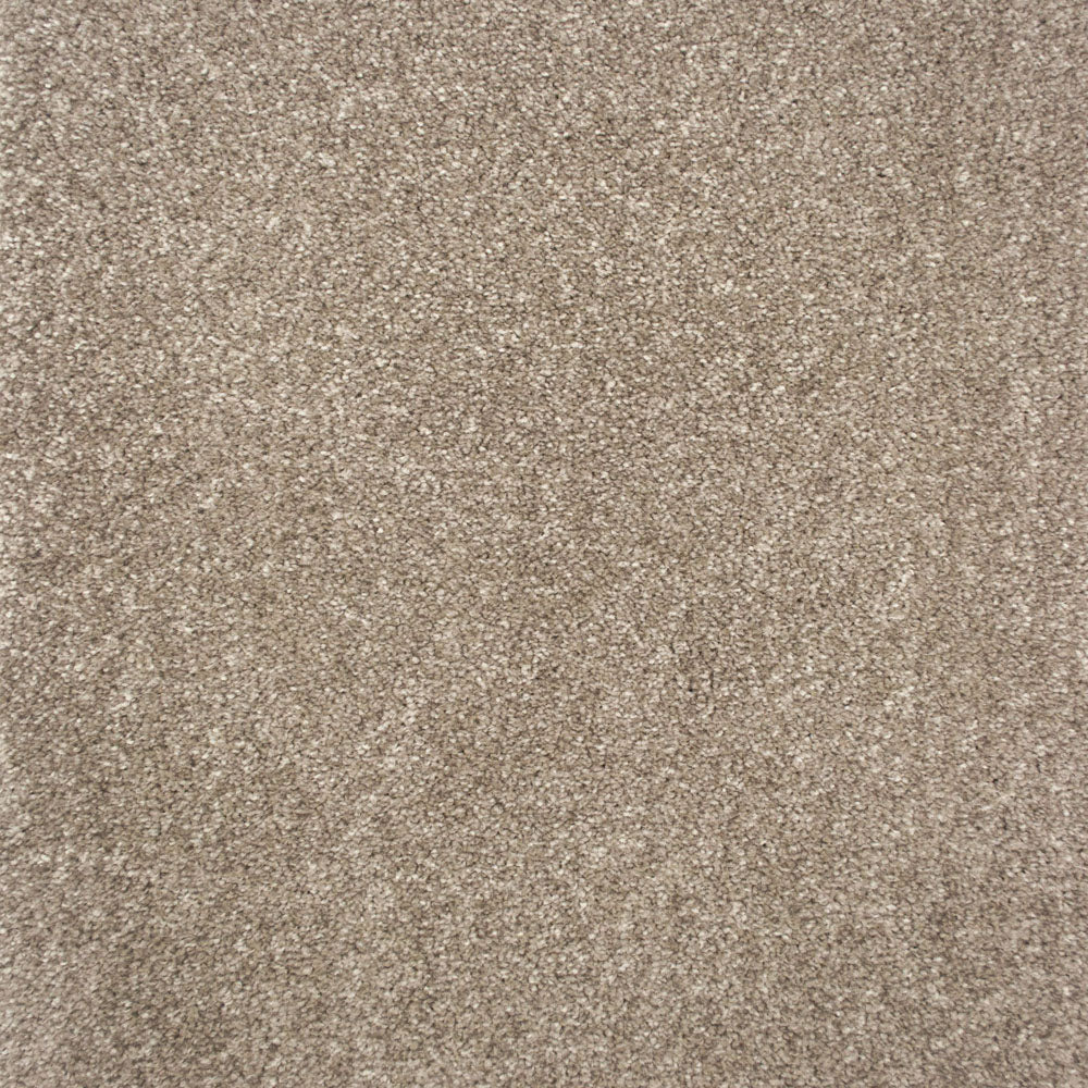 Pampas Saxony Carpet - Image 2