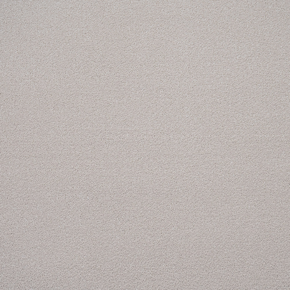 Regal Saxony Carpet - Image 10