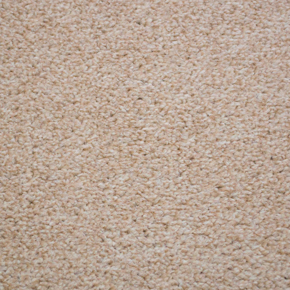 Pearl 305 Dublin Heathers Carpet - Image 3