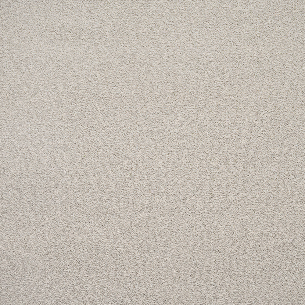 Pearl Regal Saxony Carpet - Image 4