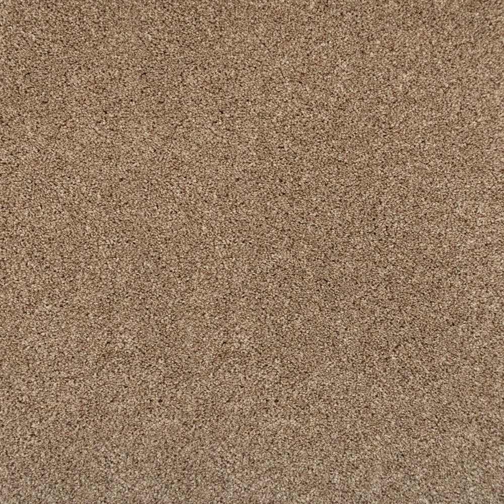 Pegasus 70oz Heathers Invictus Carpet - Image 11
