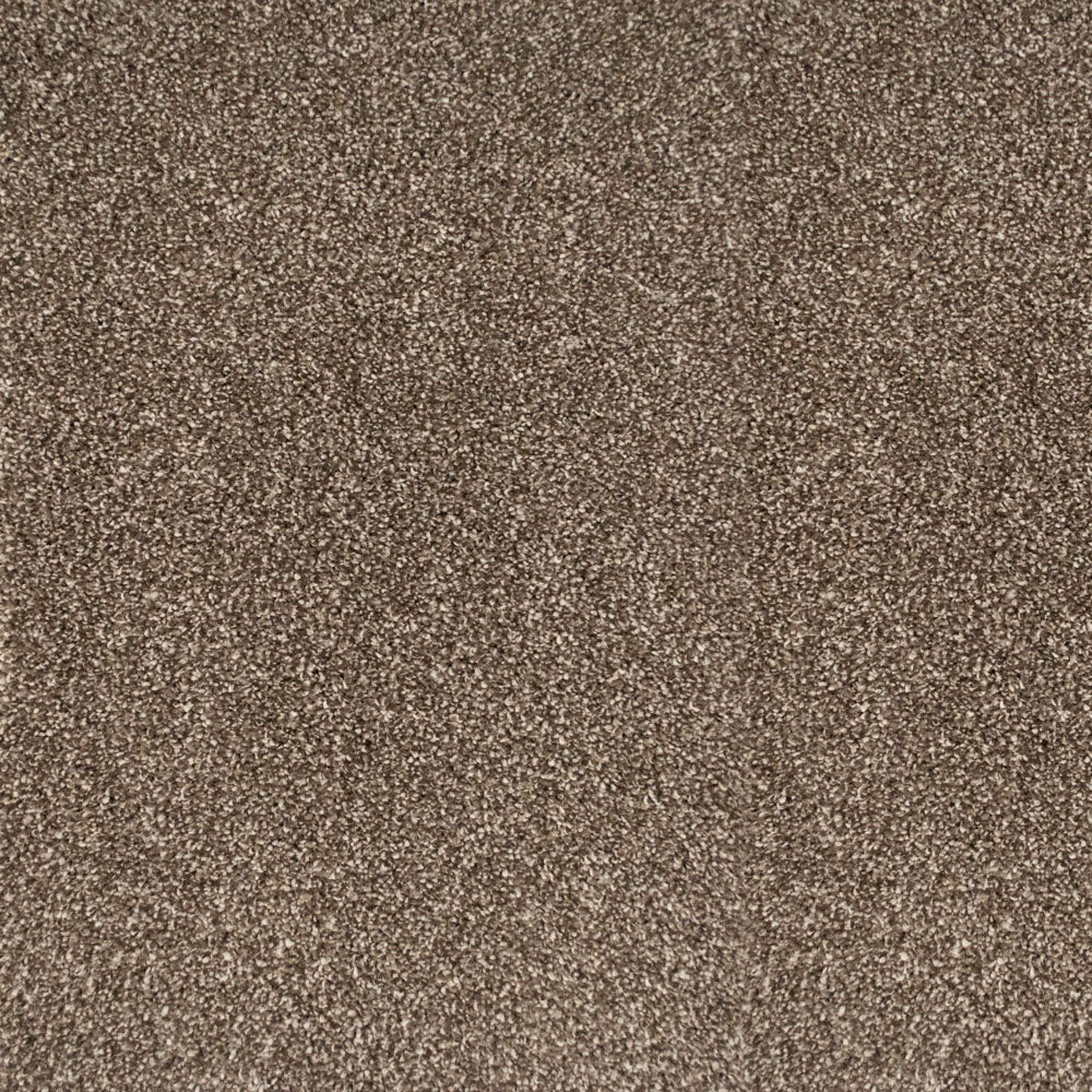 Pegasus 70oz Heathers Invictus Carpet - Image 12