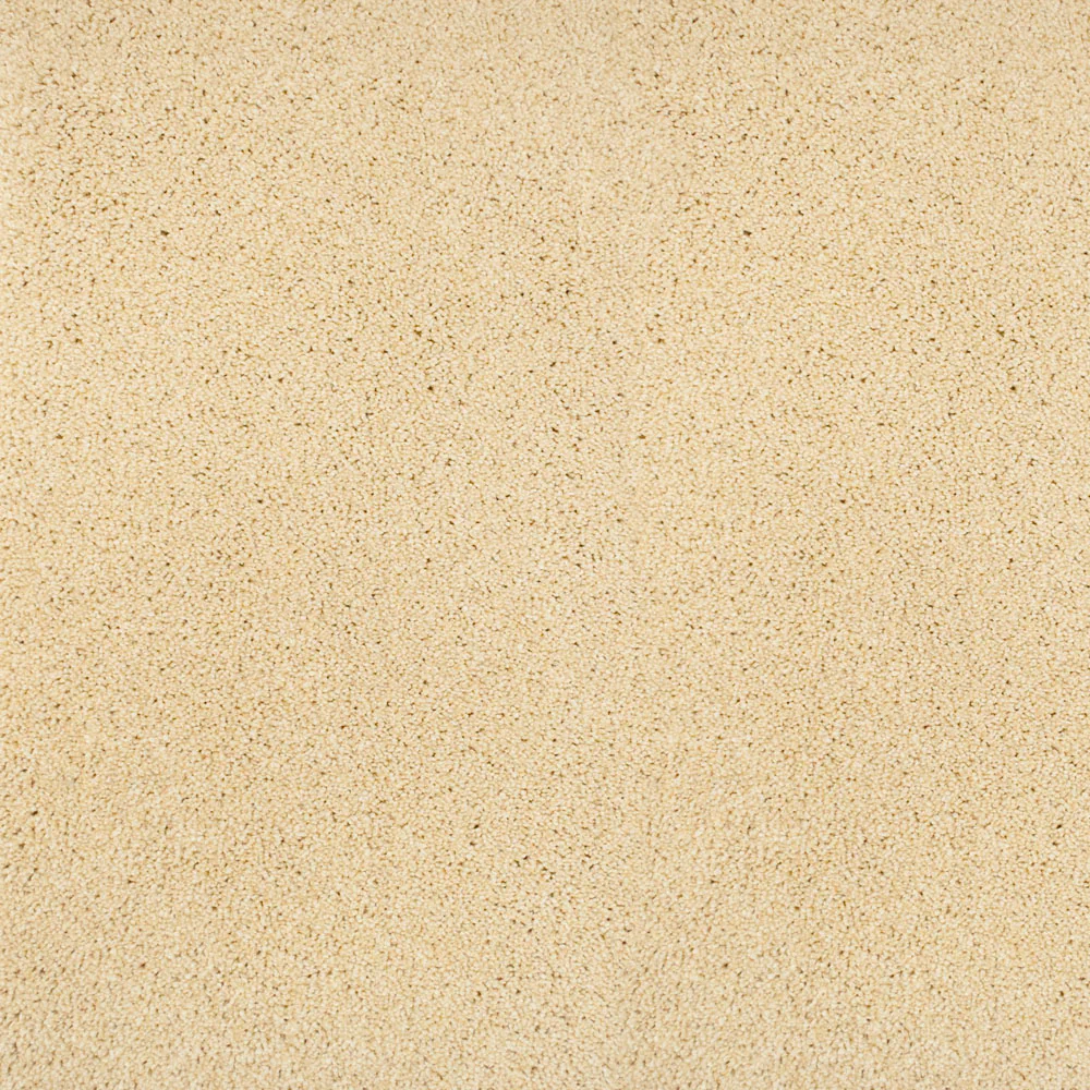Pegasus 70oz Heathers Invictus Carpet - Image 18