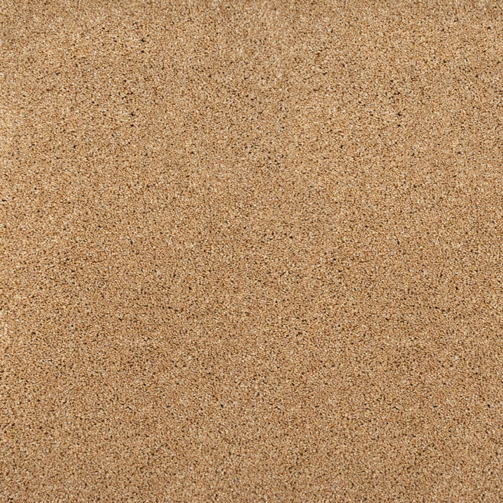 Pegasus 70oz Heathers Invictus Carpet - Image 21