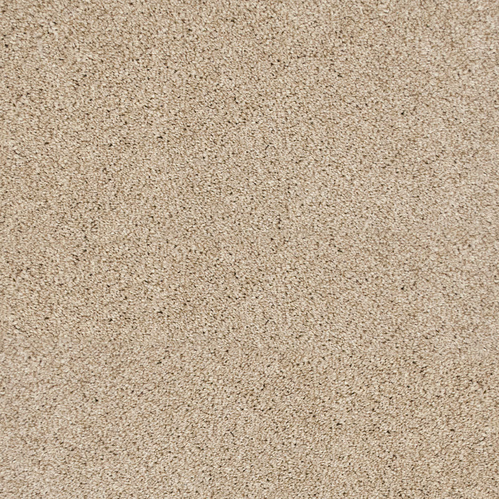 Pegasus 70oz Heathers Invictus Carpet - Image 23
