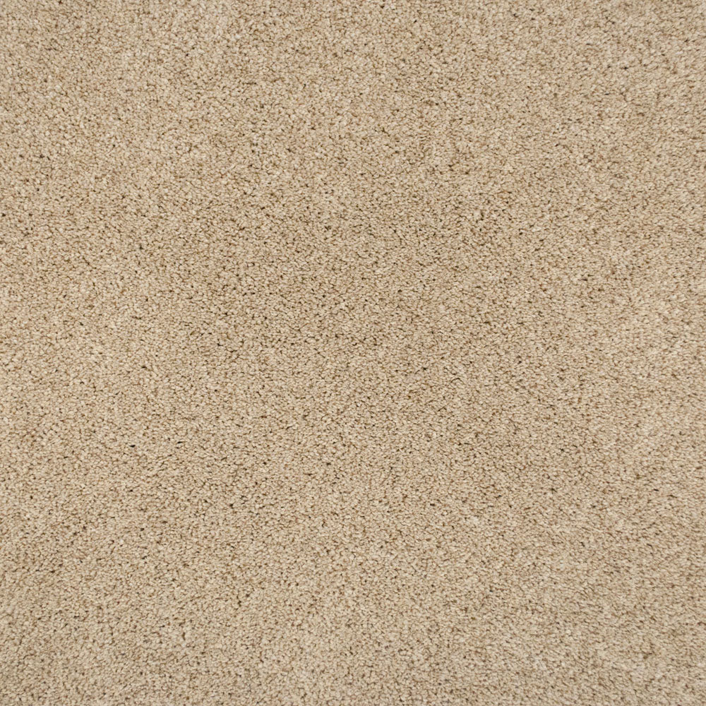 Pegasus 70oz Heathers Invictus Carpet - Image 25