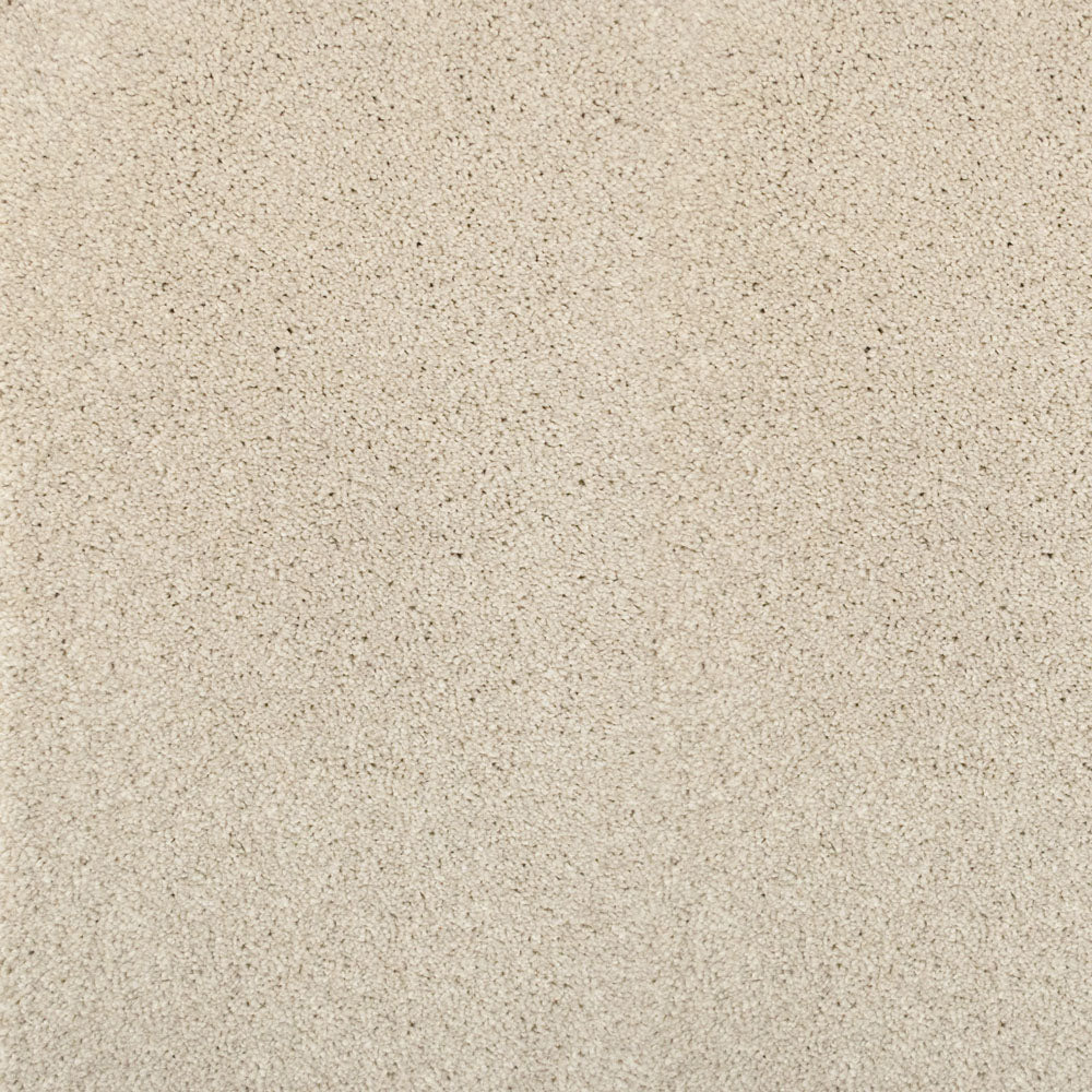 Pegasus 70oz Heathers Invictus Carpet - Image 29