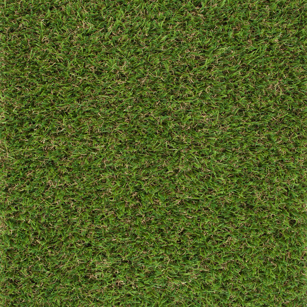 Pembrey 22mm Artificial Grass