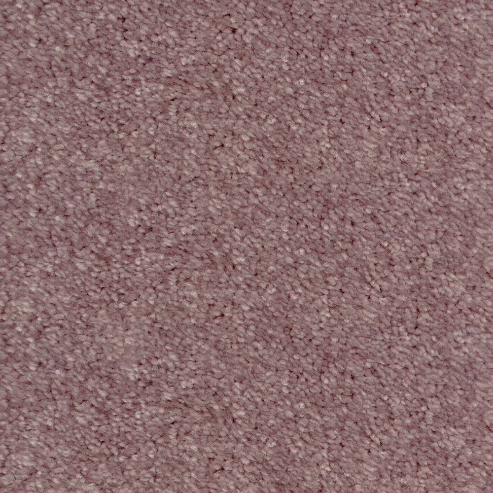 Peppercorn 67 Splendour iSense Carpet Clearance - Image 3