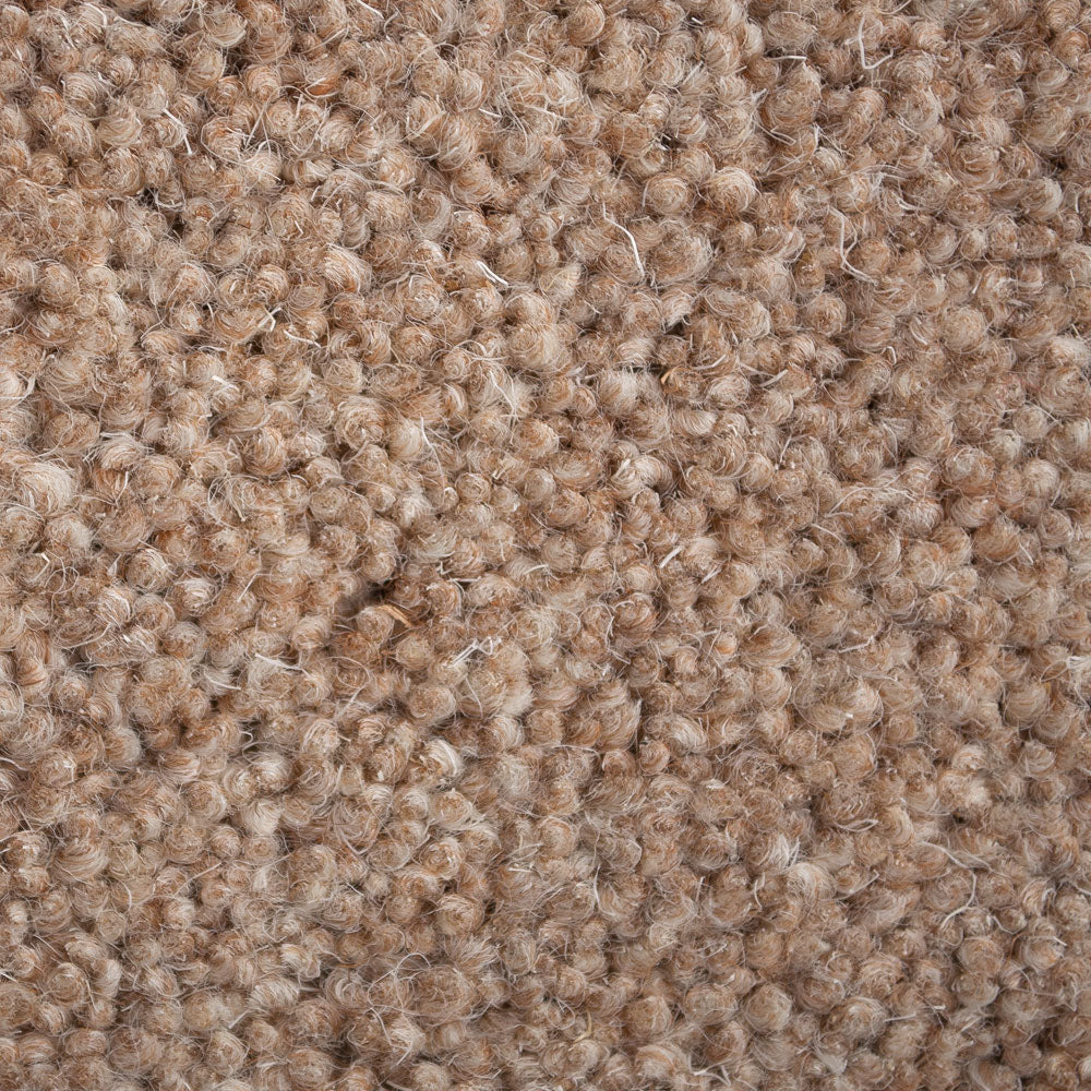 Periwinkle 50oz Home Counties Heathers Carpet by Cormar - Image 3