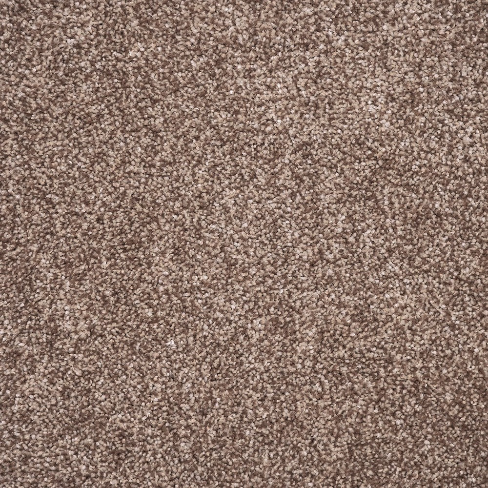 Pheasant 44 Ignis Carpet Clearance - Image 2