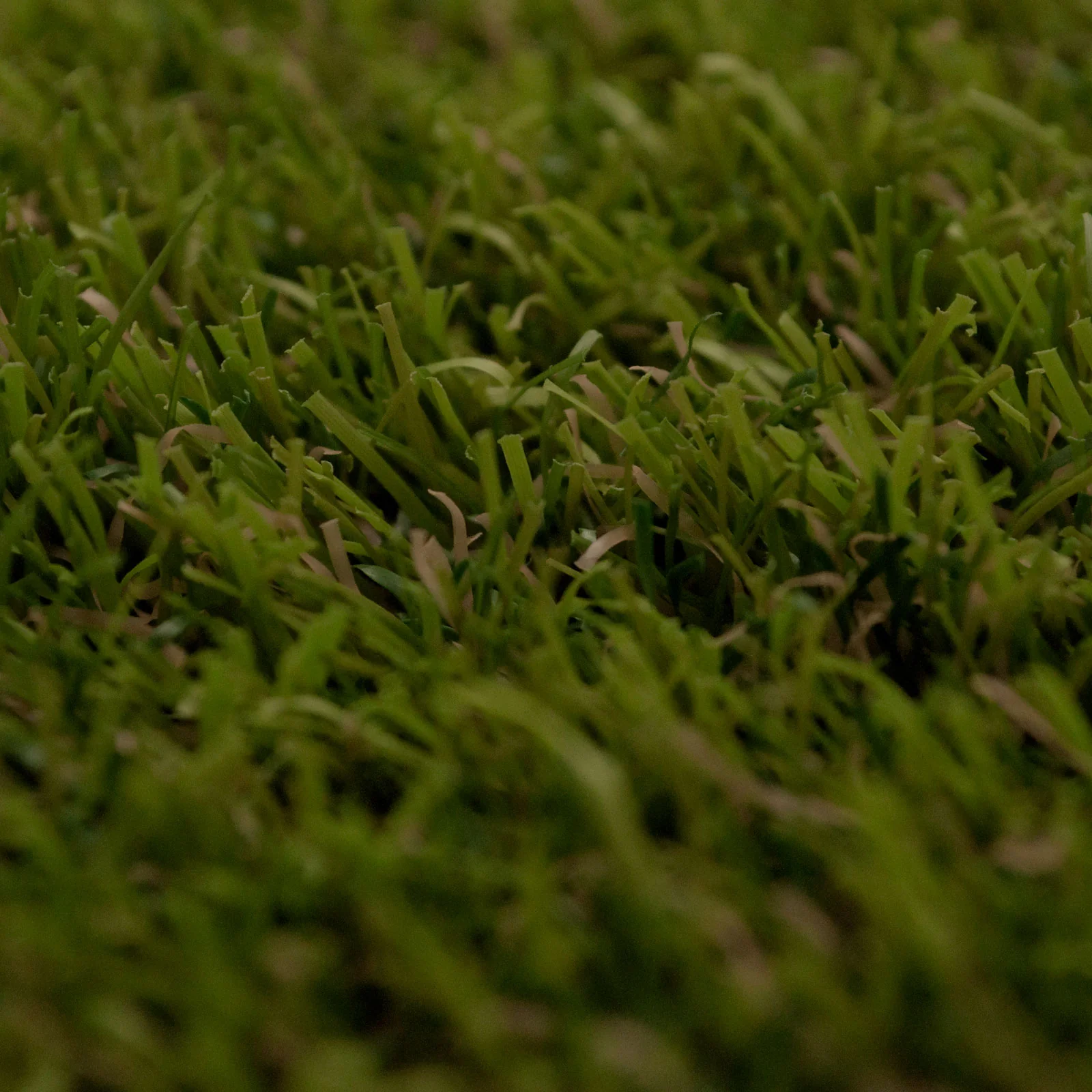Pine Valley Green 40 Green Artificial Grass - Image 6